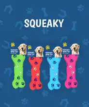 Wholesale Dog Toys - Squeaky