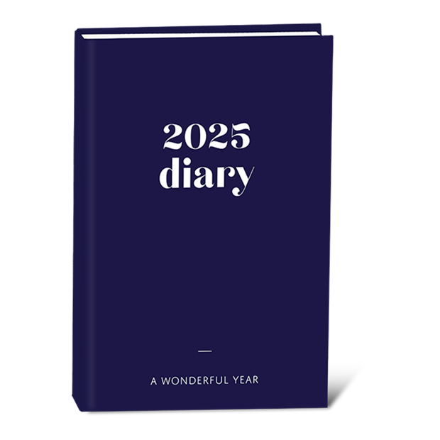 Wholesale 2025 A5 Page A Day Diary