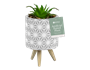 Artificial Plant in Pot on Stand