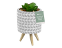 Artificial Plant in Pot on Stand