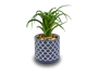 Artificial Plant in Geo Pot