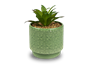 Artificial Plant in Dolomite Textured Pot