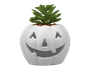 Halloween LED Pumpkin with Succulent 10cm