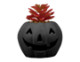 Halloween LED Pumpkin with Succulent 10cm