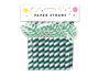 Summer Party Paper Straws Leaf 20pk