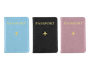 Foil PU Leather Passport Cover PDQ