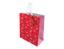 Valentine's Day Medium Gift Bag