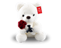 Valentine's Plush Teddy with Rose 27cm