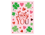 Valentine's Day Cards in FSDU