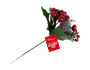 Christmas Red Berry Pick With PDQ