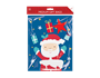 Christmas Cute Medium Gift Bags - 2 Pack