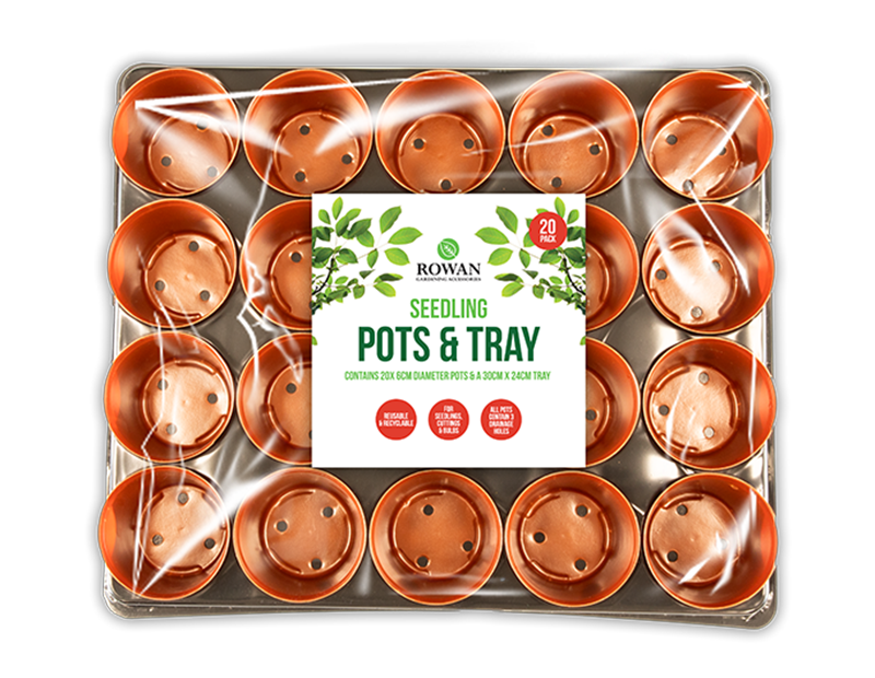 Wholesale Mini Pots in Tray 20pk