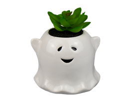 Halloween Ghost with Succulent 9cm