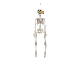 Halloween Hanging Skeleton Decoration