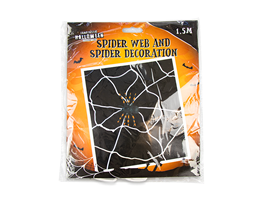 Halloween Spider Web & Spider