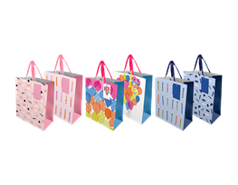 Printed Gift Bag 2pk