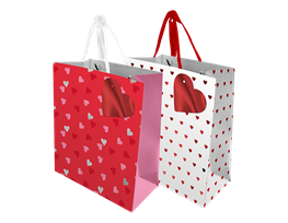 Valentine's Day Large Gift Bag