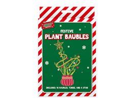 Festive Plant Decoration Kit