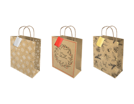 Medium Foiled Kraft Gift Bag